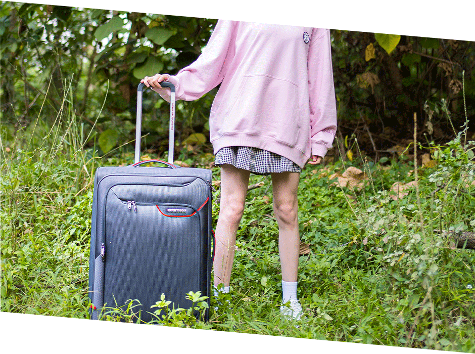 American Tourister Applite luggage 